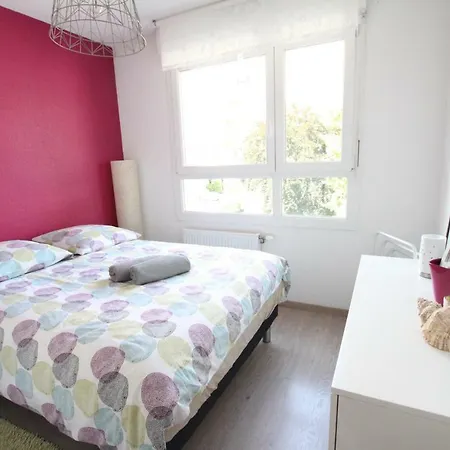 City Center - Galtz Terrasse And Free Parking - Bookingalsace Apartament Colmar