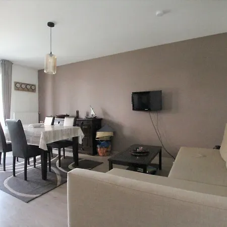 City Center - Galtz Terrasse And Free Parking - Bookingalsace Apartament Colmar