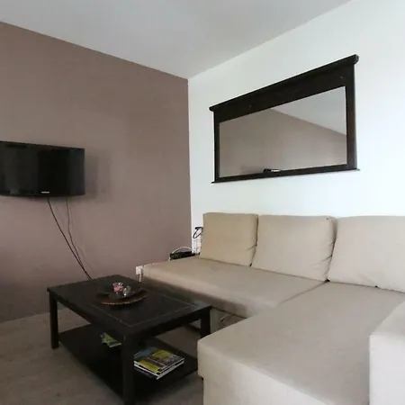 City Center - Galtz Terrasse And Free Parking - Bookingalsace