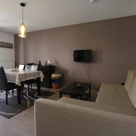 Apartament City Center - Galtz Terrasse And Free Parking - Bookingalsace